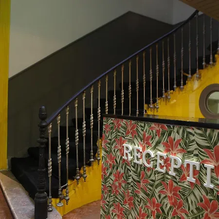 Avenida Hostel